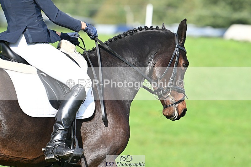 231020-110919-07797 - 645-COOLEY.CORPELLO-Francesca.Swallow-DR