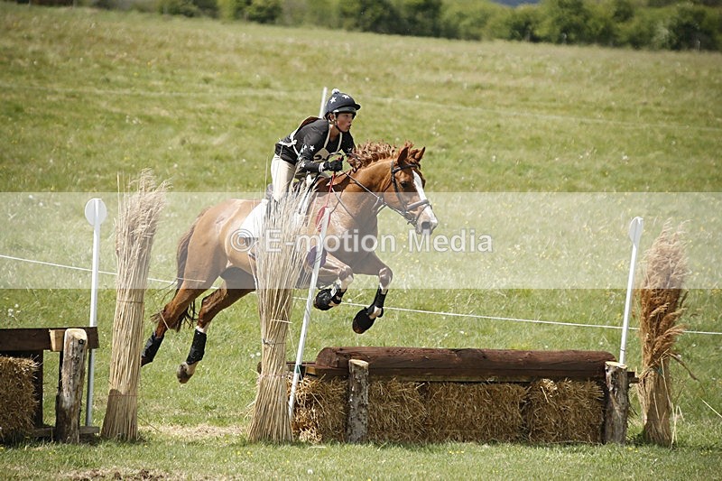 BVHT 140517  NXC -33 - Class 2 XC Novice 14/05/17