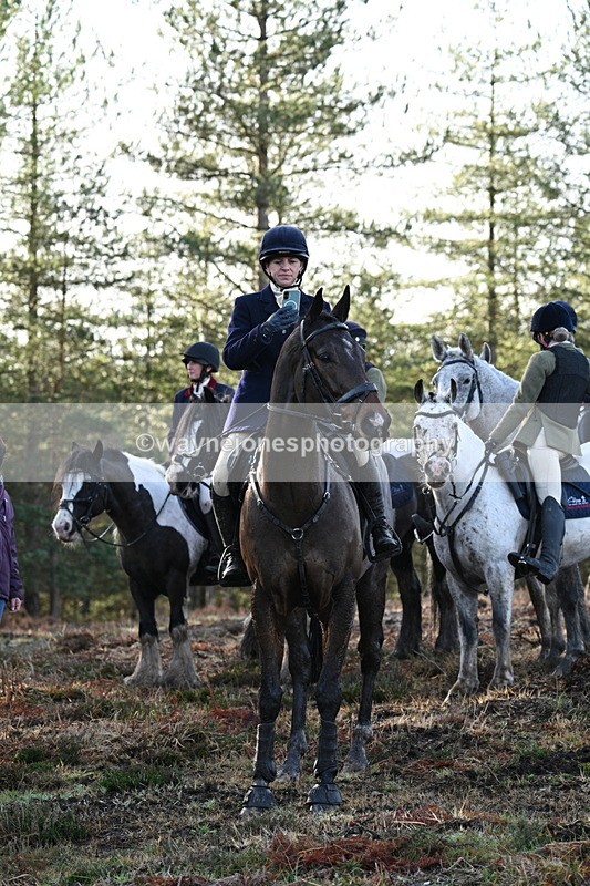 WJ7_7478 - Line 3 (no line 4 or 5)