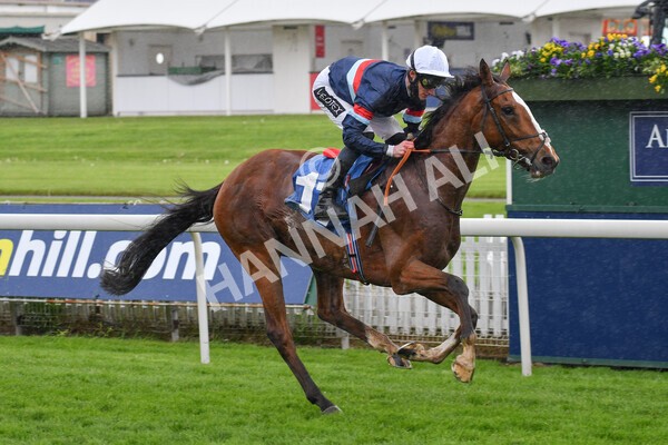 yr22052021r3-26 - Race 3 3.15pm William Hill Extra Place Races Stakes