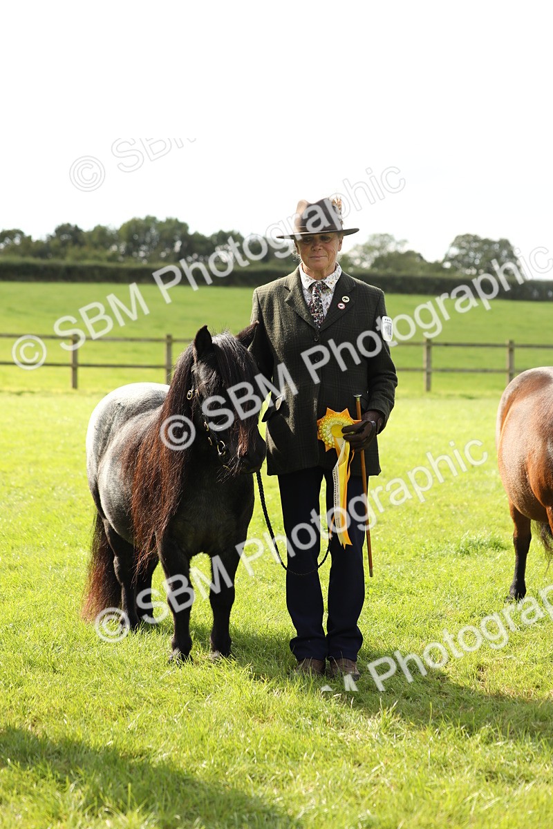 SBM_62863 - S46 - Mountain & Moorland In Hand Small Breeds