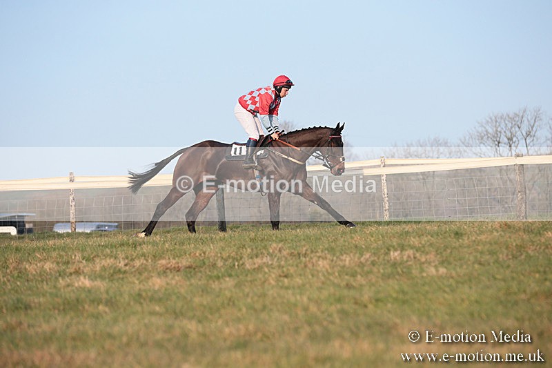 PtP 230219 595 - Vine & Craven Point-To-Point - Barbury 23/02/19