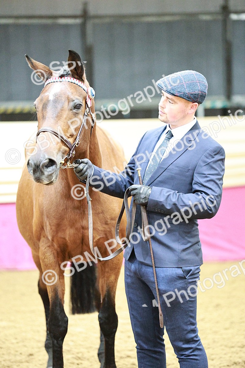 SBM_00181 - Class 1A - Area IH Diamond