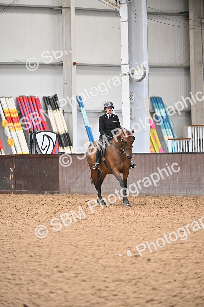 SBM_002350 - Class 22 - BSHA Ridden Hack & Riding Horse