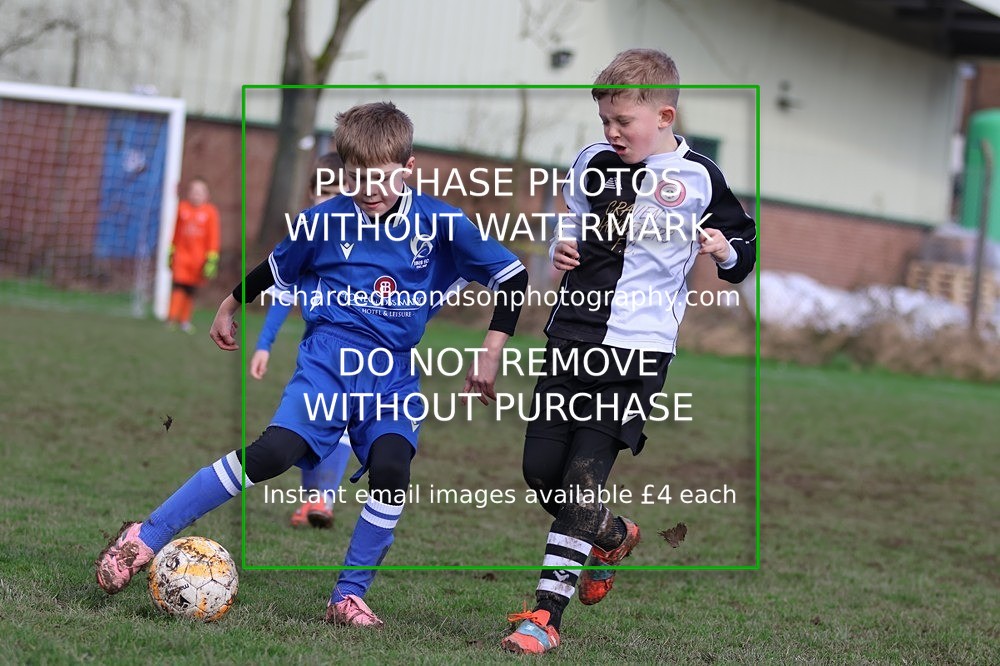 533A8313 - Ibis Under 8's (14/3/26)