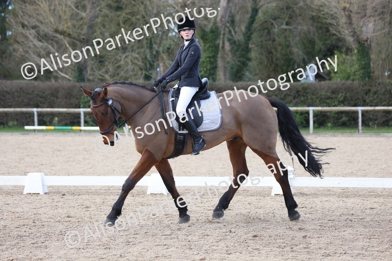 20260228-0797 - Class 6 - Novice 3