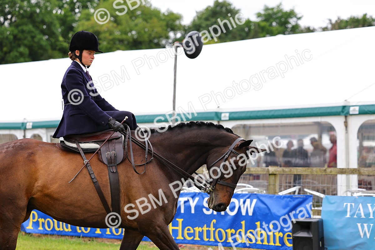 SBM_02854 - Class 9-11 Side Saddle including LIHS Rising Star Ladies Show Horse
