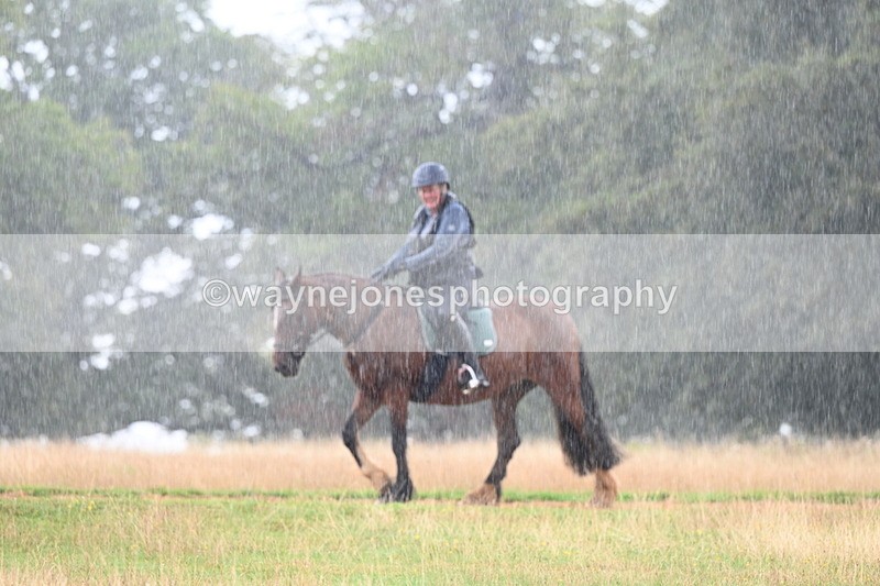 DSC_2951 - Time at Statue 12:59 to 13:49