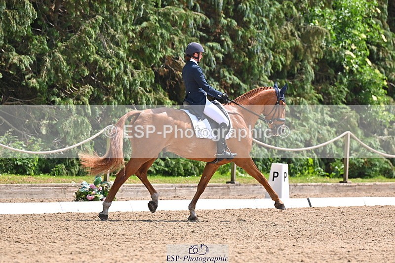 250523A-141443-07263 - B-360-Lucy.K.Wheeler-KING.CREOLE.VD.N.RANCH