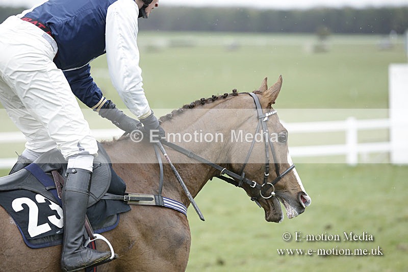 PtP 150320 0276 - New Forest Point-to-Point Larkhill 15/03/20