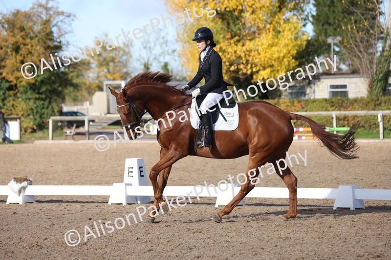 20251102-0600 - Class 4 - Novice 6