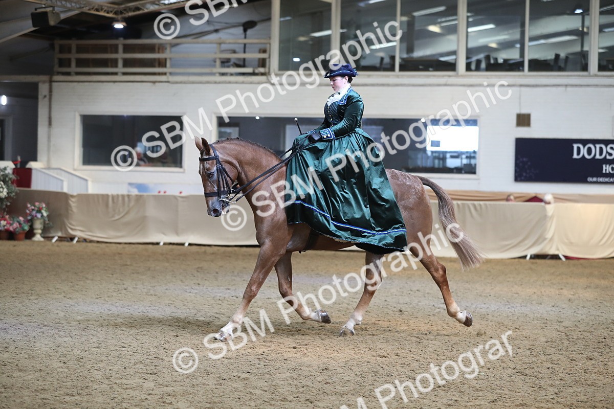 SBM_11578 - Class 105 Ridden Costume- Side Saddle