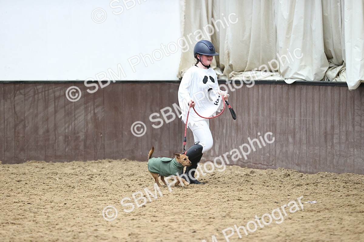SBM_001524 - Class 3 - Horse & Hound 60cm