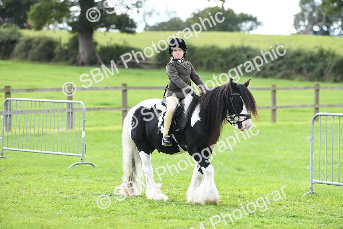 SBM_46690 - S12 - Family Horse & Pony