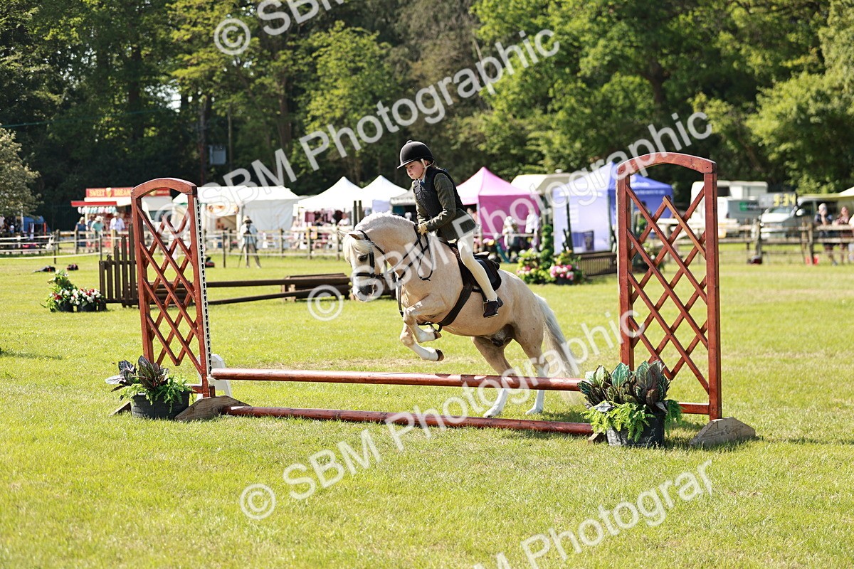 SBM_12668 - Class 106-107 - BSPS LIHS Working Sports Pony