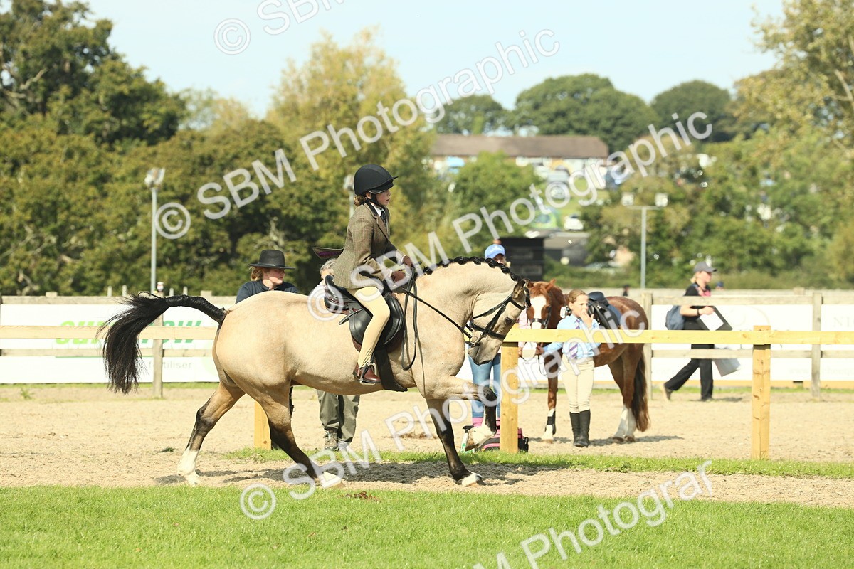 SBM_67632 - S56 - Coloured Pony Ridden