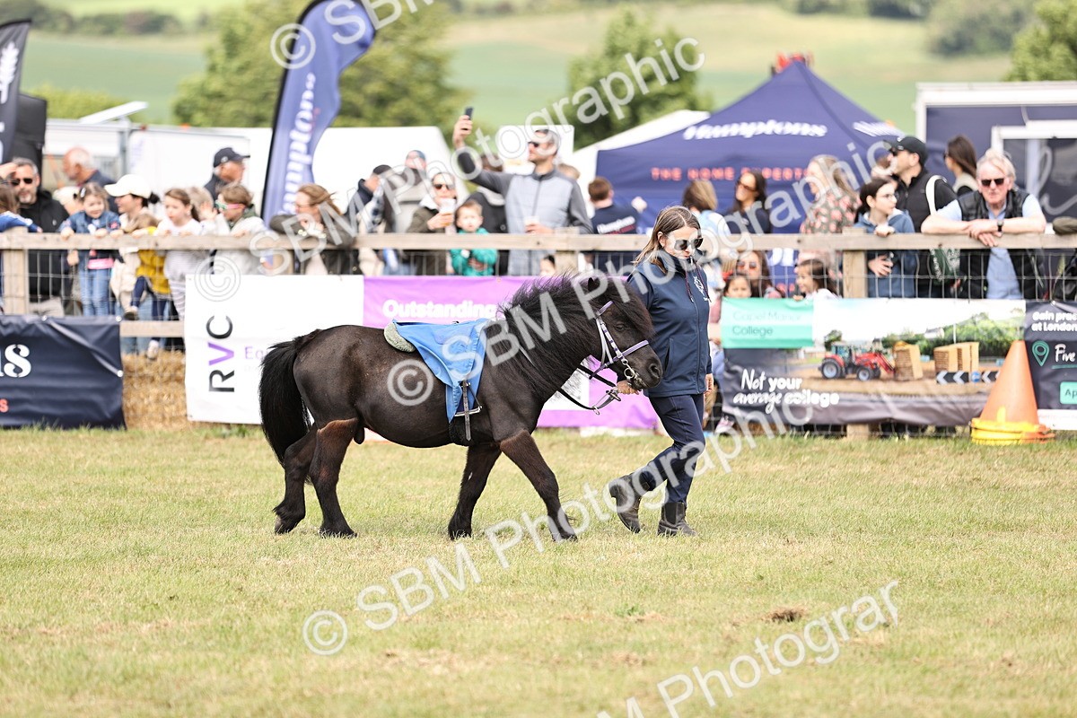 SBM_16391 - Dinky Derby