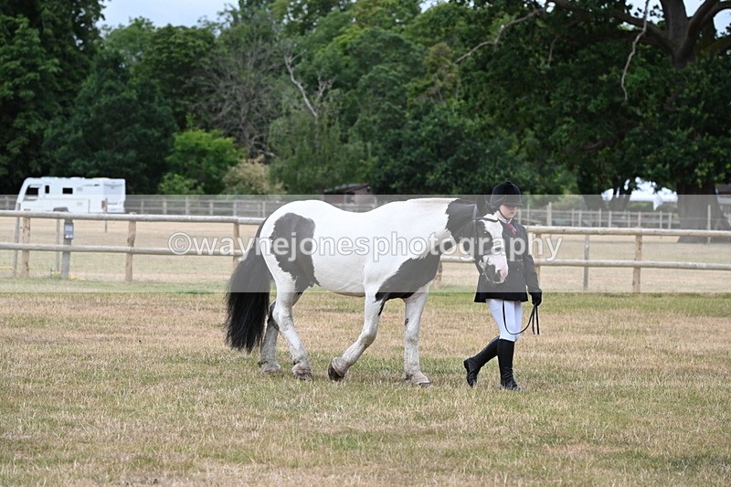 WJ6_4587 - Class 10 Coloured In-hand