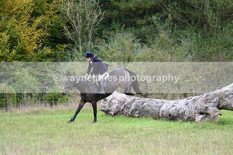 WJ7_3621 - Camera 1 Line 1