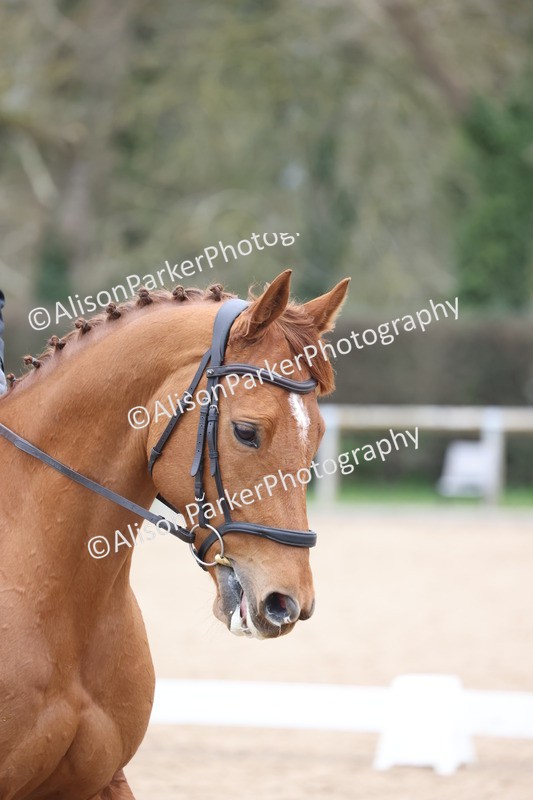 20260301-0300 - Class 3 - Novice 4