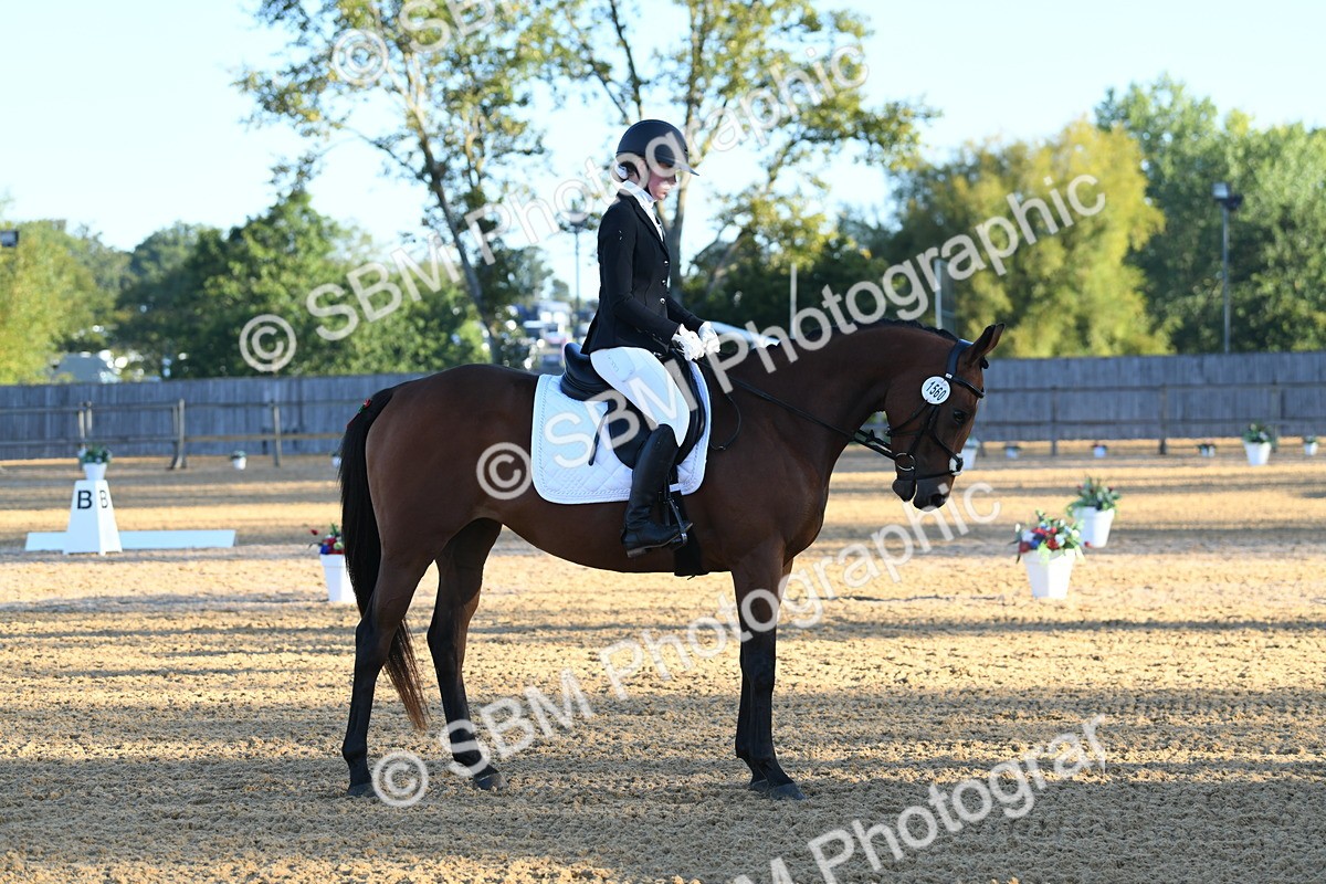 SBM_14247 - D4 - Small Tour Championship - Intro B