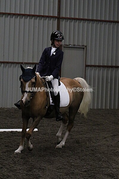 SIAL3559 - CAbin Dressage 5th july 2025