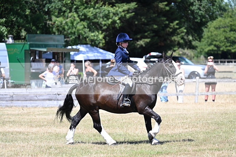 WJ7_3728 - Class 8 Ridden Veterans
