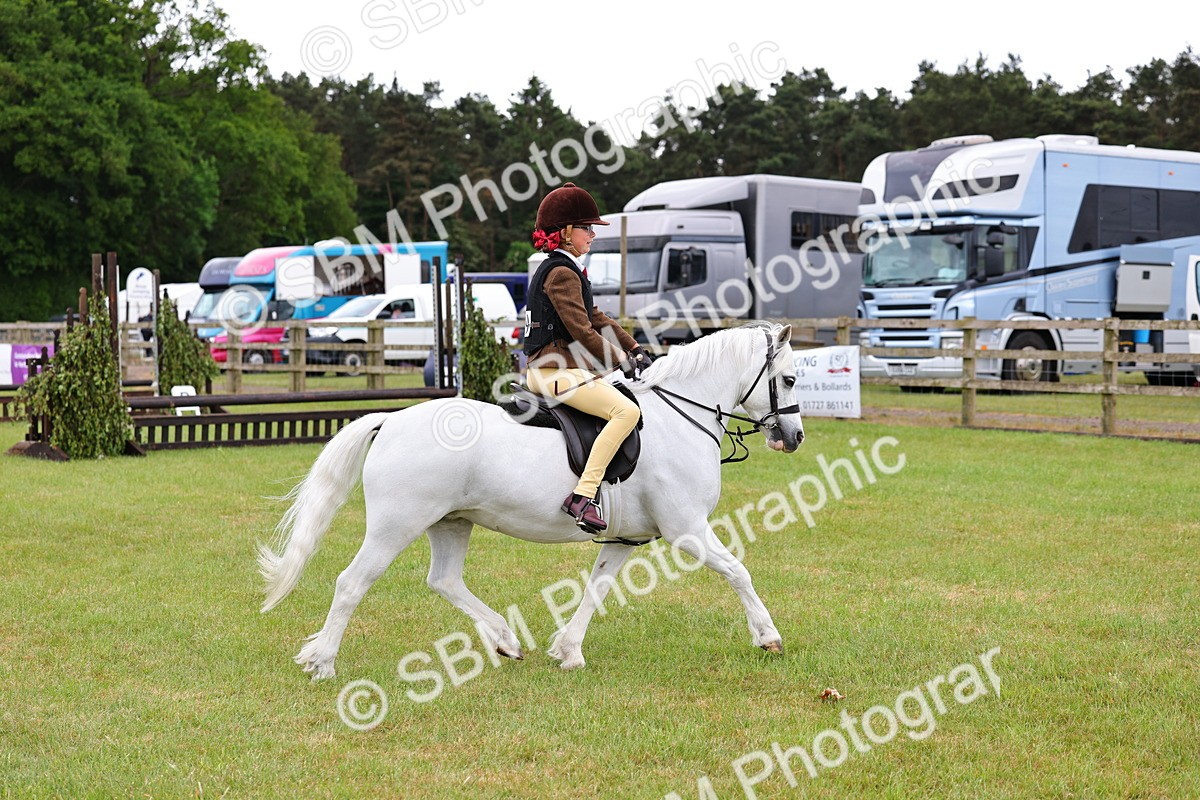 SBM_08881 - Class 42-43 - LIHS BSPS Heritage Working Sports Pony