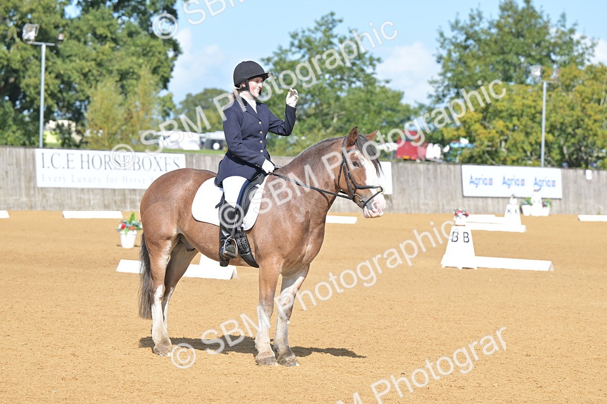 SBM_03914 - D2 - Small Tour Championship Intro 2