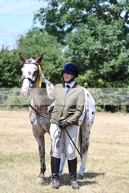 WJ7_2458 - Class 5a Most Handsome Gelding in hand (above 14.2hh)