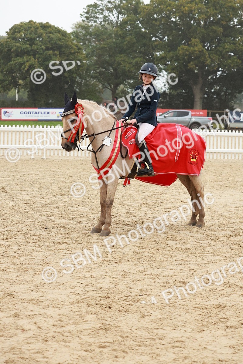 SBM_73528 - Supreme Championship Junior Pony 60cm & 65cm