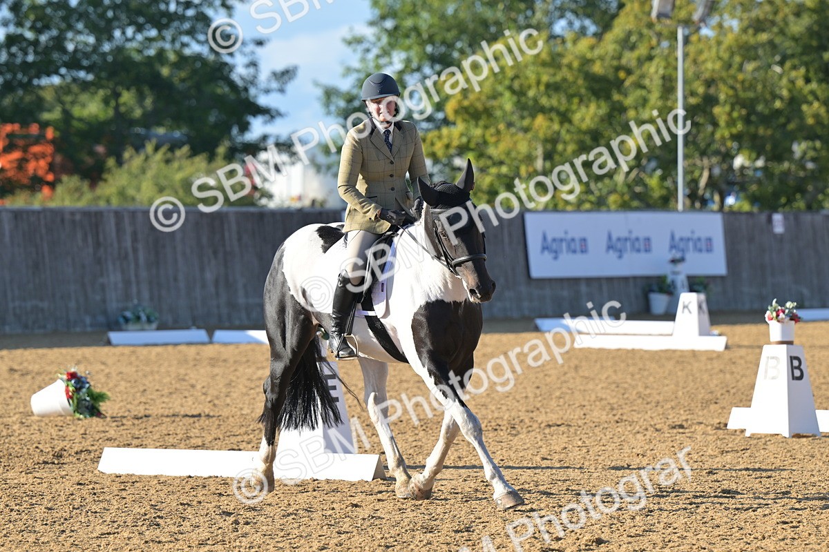SBM_13070 - D3 - Small Tour Championship Intro 3