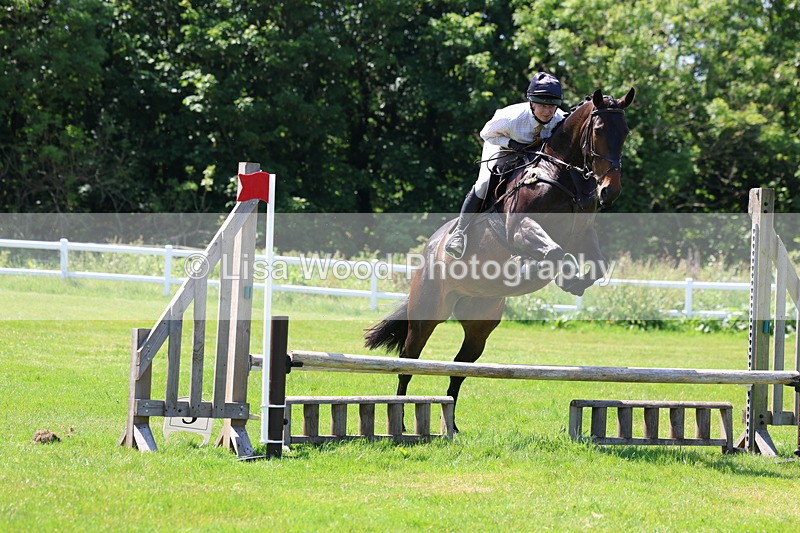 3E7A7052 - Class 30: Novice Working Hunter