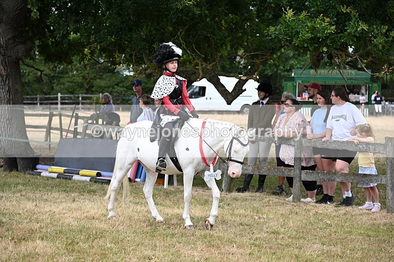 WJ6_4609 - Class 11 Fancy Dress