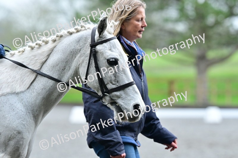 20260125-0903 - Class 9a - Walk Trot Assisted