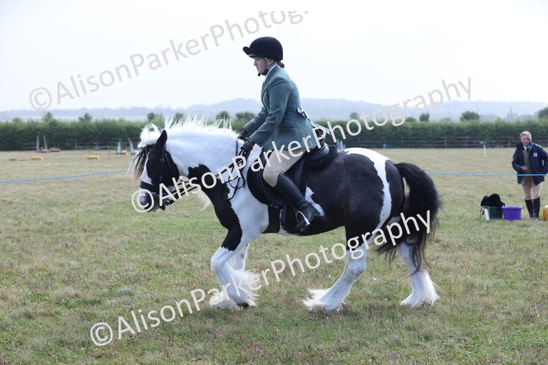 20250831-2442 - Class 16 - Family Pony