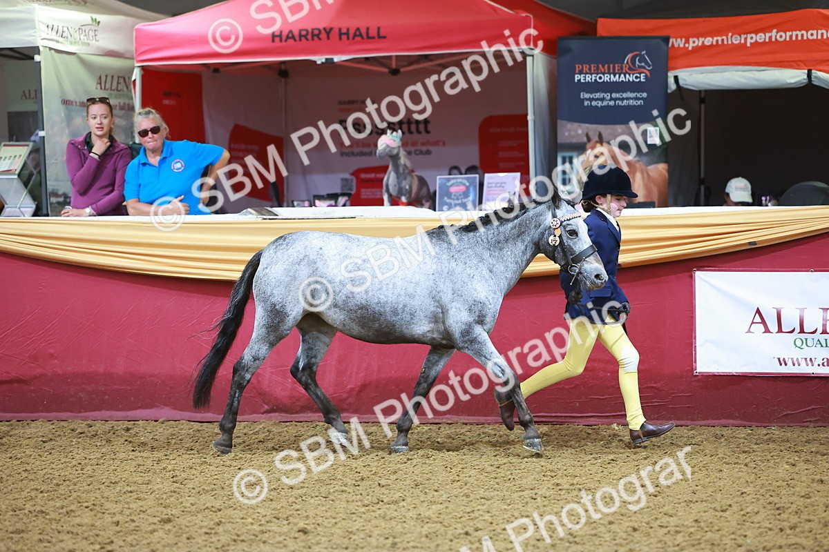 SBM_14692 - Class B - Junior Champ 11 to 16 Years