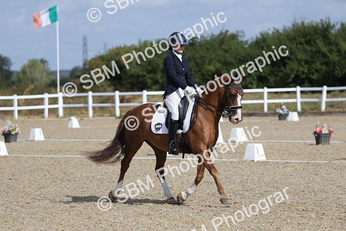 SBM_020361 - Class 21 - M5 Bronze 9.30.10.34