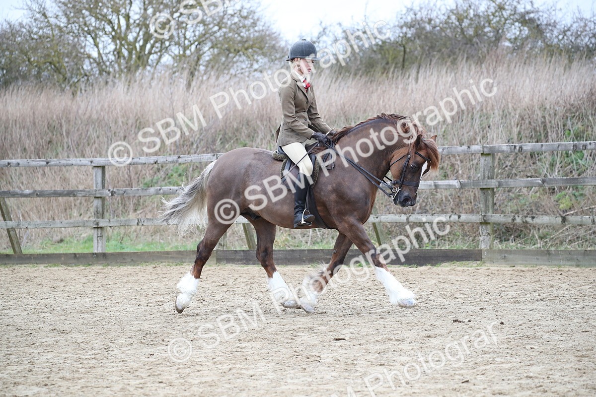 SBM_006301 - Class 10-13 - RIHS Small Large Breeds
