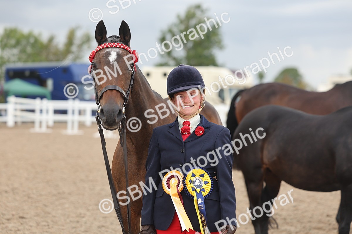 SBM_06916 - Class 25 - IH Foreign Breeds - Purebred