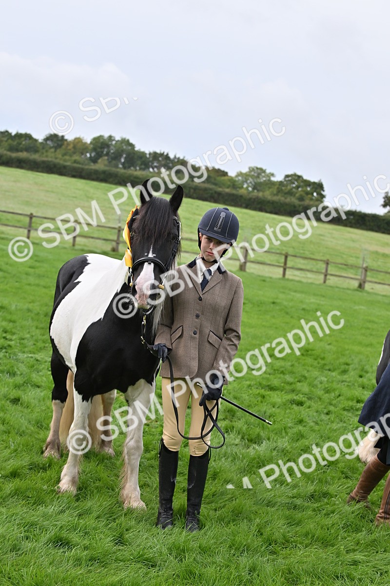 SBM_56992 - S45 - Coloured Pony In Hand