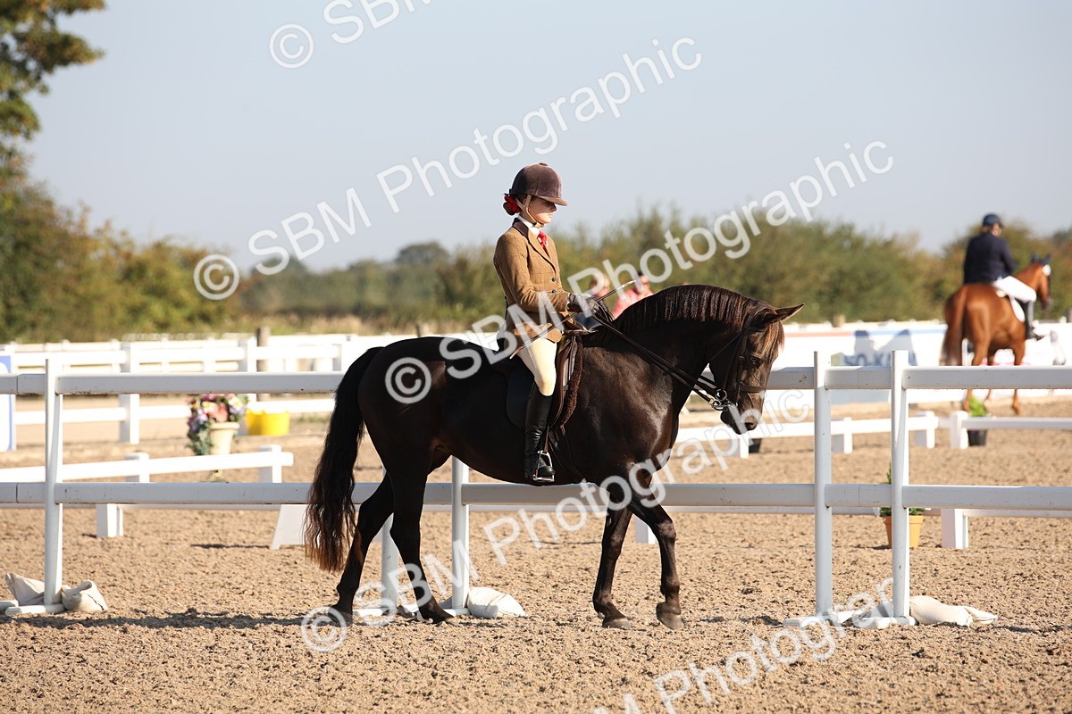 SBM_00602 - Class 14 Ridden M&M Wildcard