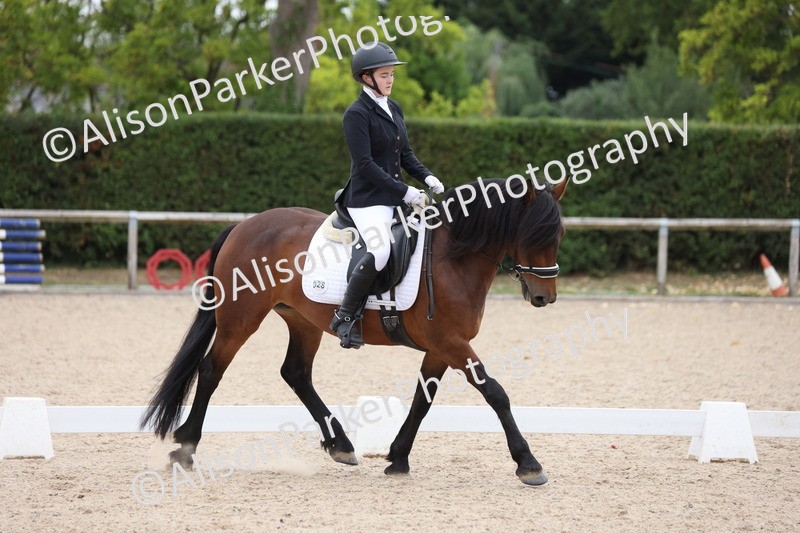 20250820-1095 - Class 17 - Elementary 4