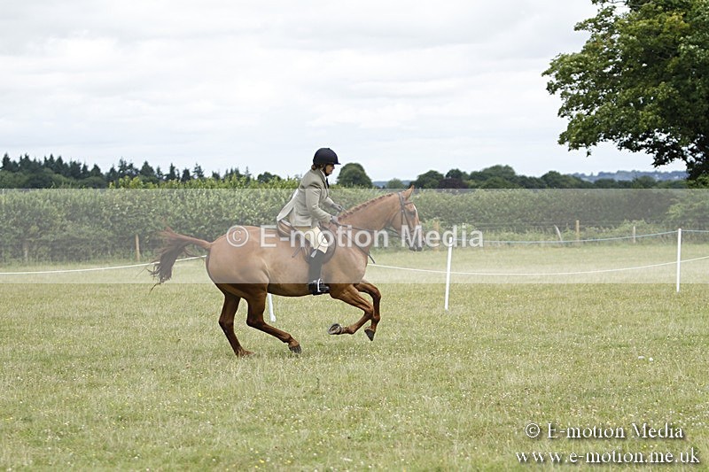 BVR160717-2245 - Ring 3 BVRC Show 16/07/17