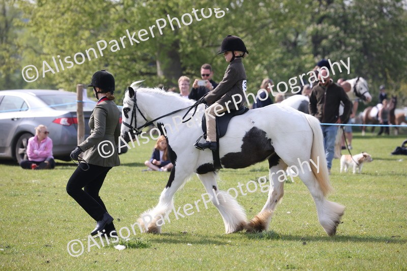 20260426-2549 - Class 31 - Leading Rein