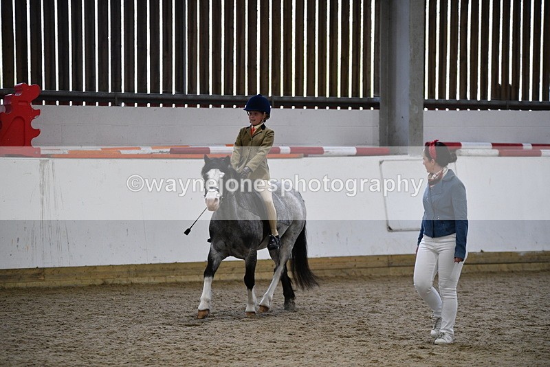WJ5_6894 - Class 10 Childs Pony