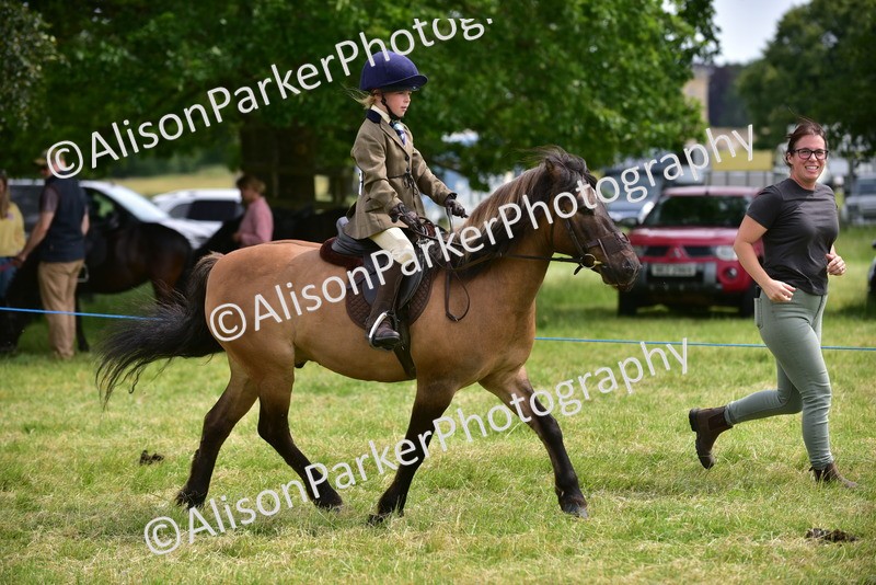 20260614-3989 - Class 16 - Handsome Gelding