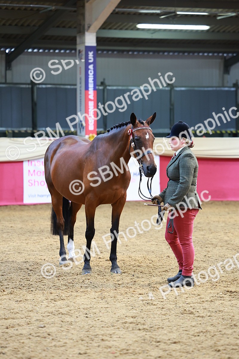 SBM_04311 - Class 9R - IH Pre-Vet