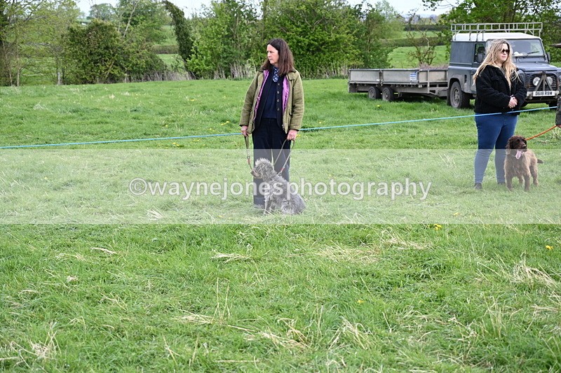 WJ6_8436 - Class 6 Best Rescue