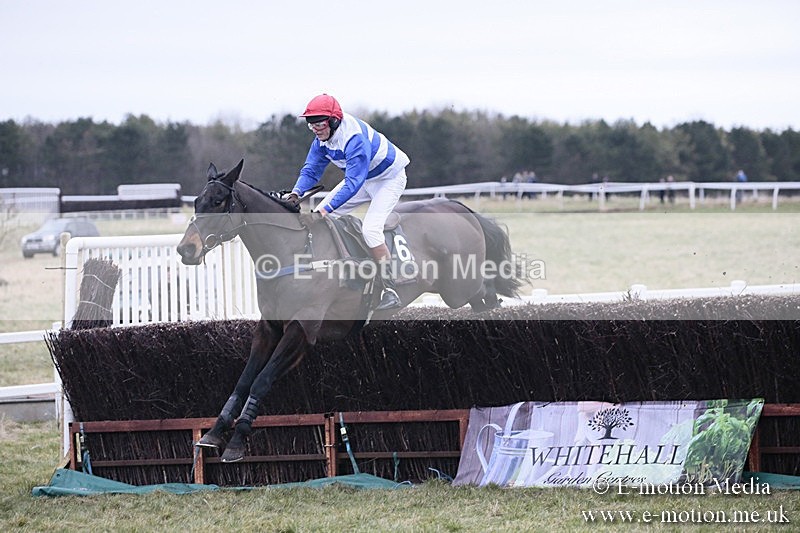 PtP 180218 239 - Combined Services Point-to-Point Larkhill 18/02/18